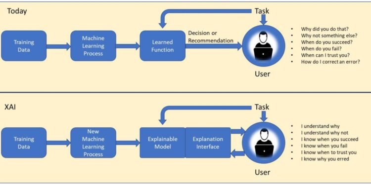 Explainable AI can enhance deepfake detection transparency