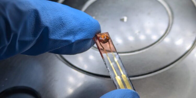 Recyclable artificial vision system uses honey as an electrolyte
