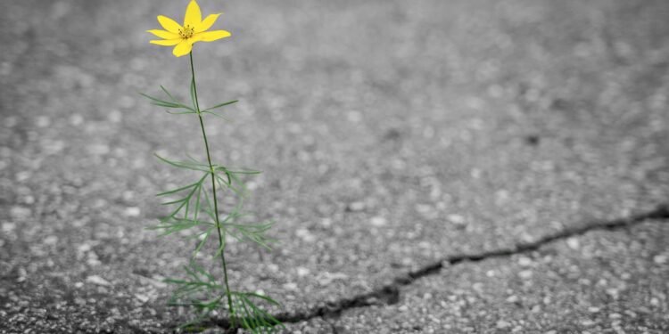 Research uses AI to make infrastructure more resilient, sustainable