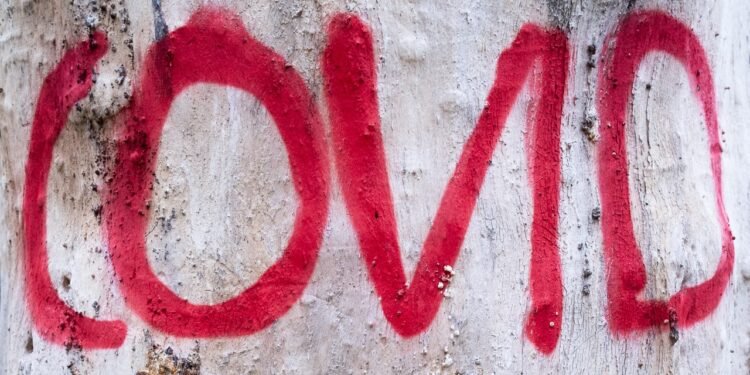 Revenge of the Covid Conspiracy Theorists