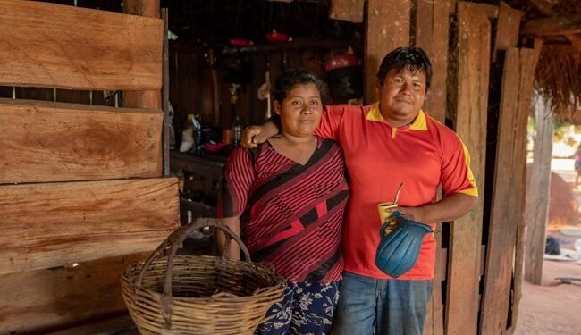 Sacred plant helps forge a climate-friendly future in Paraguay – EnviroNews