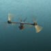 Safran Wins Flight Testing, Antenna Deal for US Army FLRAA Program