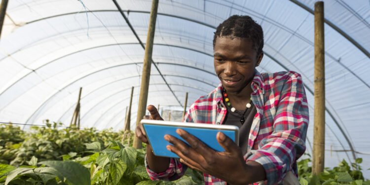 Top 10 African countries that received the most U.S. foreign aid for agriculture in 2024