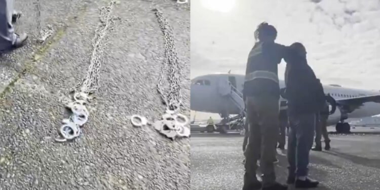 Trump, Musk Delight in Sounds of Human Suffering With Sick “ASMR” Immigrant Video