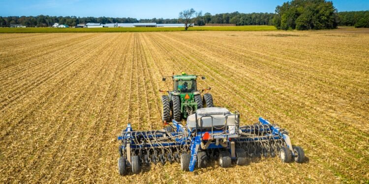 USDA Layoffs Derail Projects Benefiting American Farmers