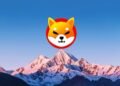 Why SHIB Has 112% Upside