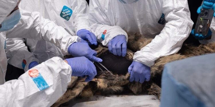 10 African countries were where scientists are most trusted