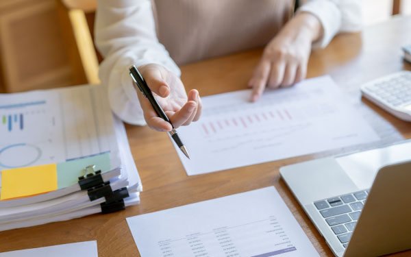 2025 Budget 2.0 | Tax Consulting South Africa