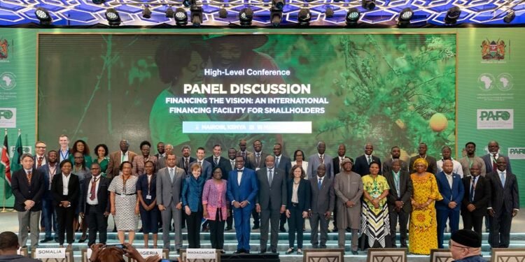 African Development Bank Unveils $500 Million Facility to Boost Smallholder Farming