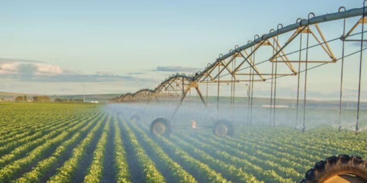 Africa’s Agricultural Giants: Top 5 Countries with the Most Farmland