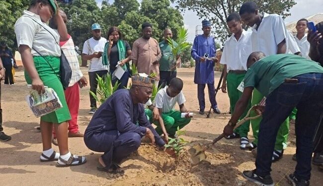 Centre takes tree planting campaign to schools in Abuja community – EnviroNews