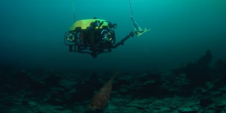 Elwave to Field Anti-Mine Sensor for Ukraine