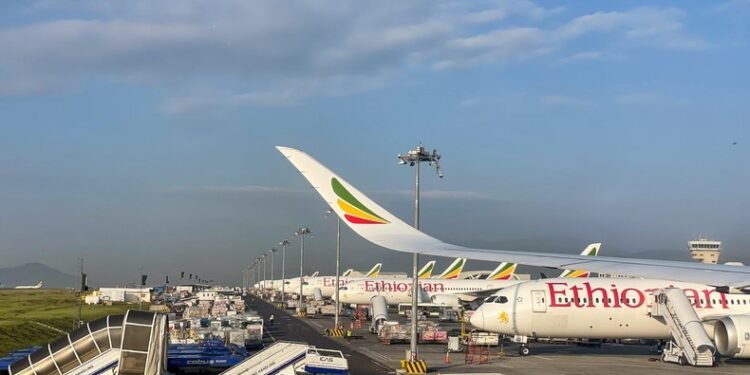 Ethiopian Airlines get a boost from AfDB for its ambitious project