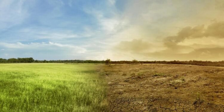 How Kenya’s Indigenous Communities Predict the Weather