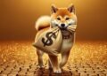 If You Put $5,000 Into Shiba Inu 2 Years Ago, Here’s What You’d