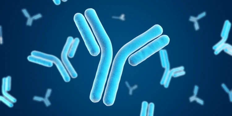 Immunovant claims study success for immune disease drug but holds off on submission