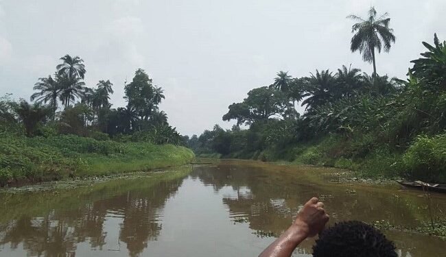 Oil spill: Obololi community decries neglect, pollution of Nun River in Bayelsa – EnviroNews