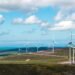Scotland generated record amount of renewable electricity in 2024