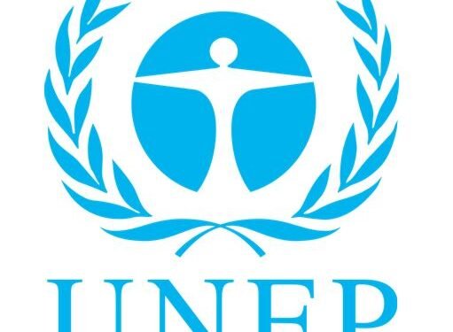 South Africa: Johannesburg shows how people and planet gain from greener cities