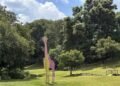 South African Artist Using Vibrant Sculptures to Revitalize Public Park