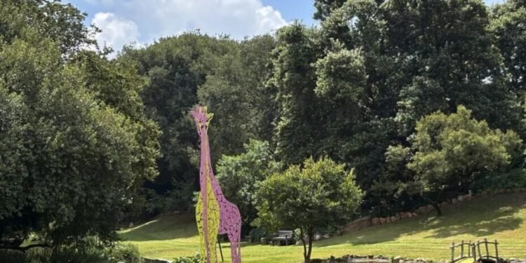 South African Artist Using Vibrant Sculptures to Revitalize Public Park