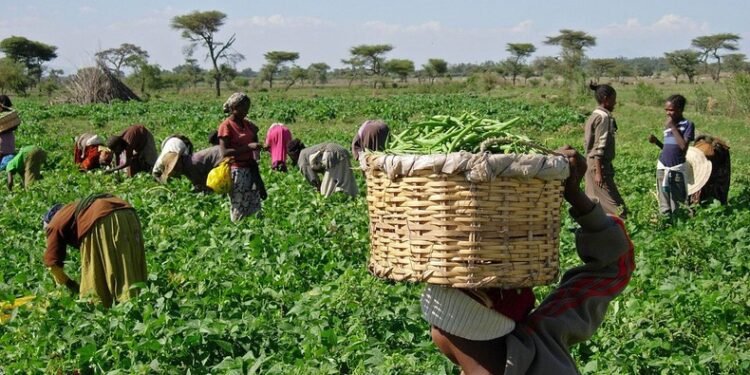 Top 10 African countries with the largest agricultural workforce