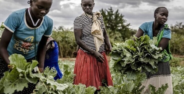 Top 10 African countries with the least economic opportunities for women