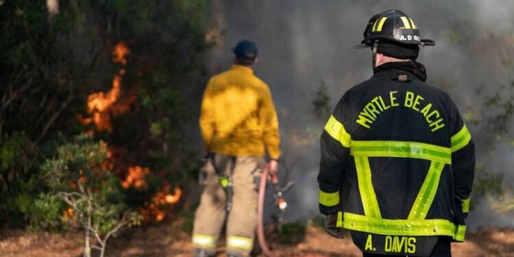 Wildfires Are One of Hurricane Helene’s Lasting Legacies