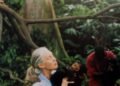 11 Best Nature Documentaries on Netflix, Hulu, and More (2025)