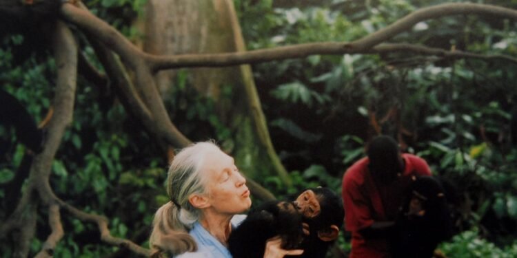 11 Best Nature Documentaries on Netflix, Hulu, and More (2025)