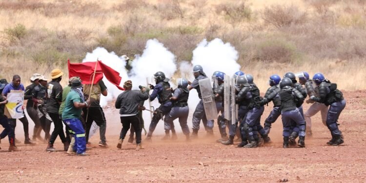 Analysis: The case for a South African gendarmerie to combat crime