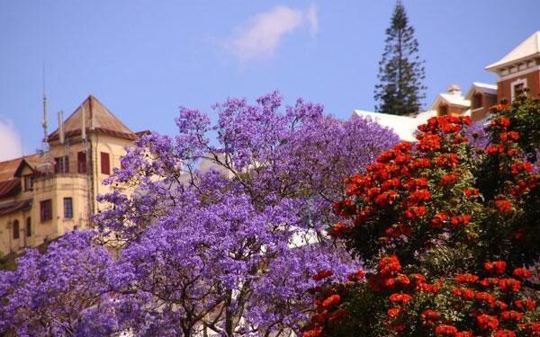 Axian Telecom secures US$100 million from EIB to invest in Madagascar and Tanzania