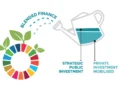 Blended Financial Instruments to Promote Climate Action: Lessons from COP29, in Baku, Azerbaijan