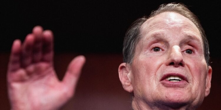 Democratic Senators Call for Privacy Act Reform in Response to DOGE Takeover