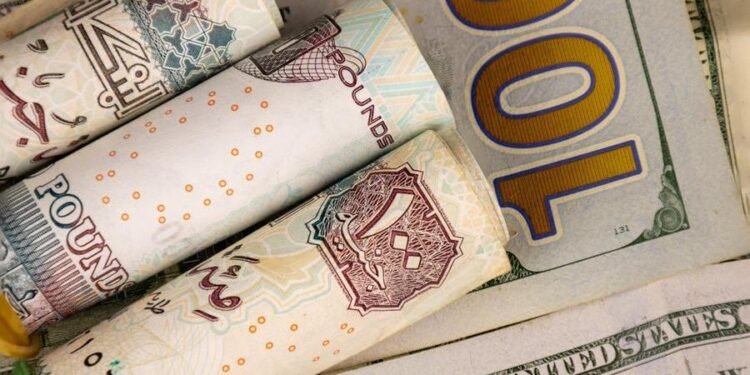 Dollar’s rise within normal range under flexible exchange rate system: Egypt’s PM