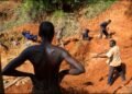 Ghana’s government orders review of all small-scale licences