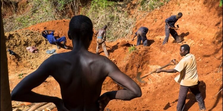 Ghana’s government orders review of all small-scale licences