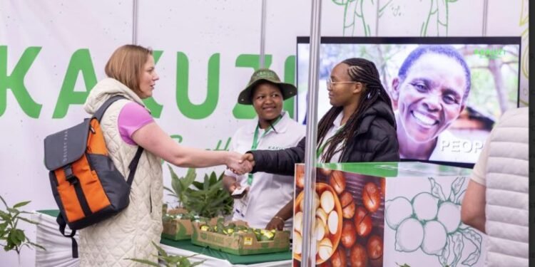 Kakuzi Eyes Lucrative U.S. Avocado Market