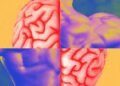 Muscle Memory Isn’t What You Think It Is