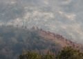 Nearly all federal workers who investigate firefighter deaths fired
