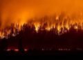 New Jersey declares state of emergency over wildfires – EnviroNews