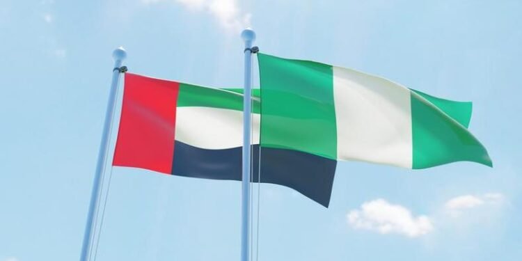 Nigeria, Cameroon seek stronger investment ties with UAE