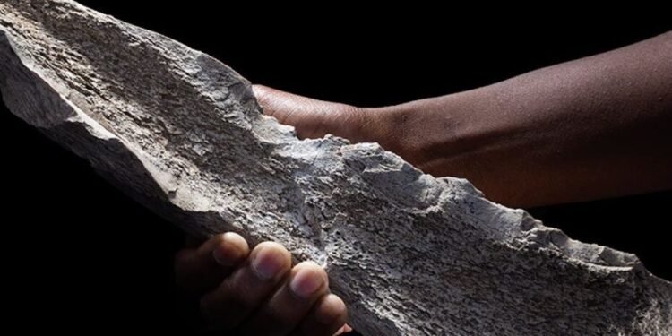 Oldest Bone Tools Ever Found Rewrite Early Human History