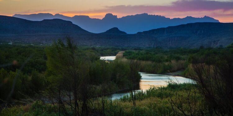 One Man’s Quest to Reforest the Rio Grande Valley