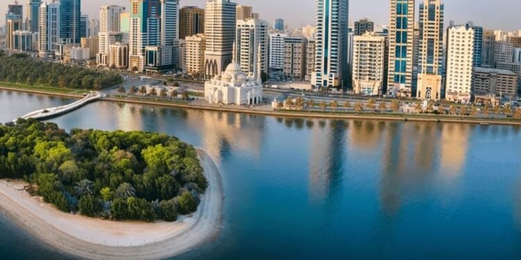 Sharjah approves plan to waive historic traffic fines