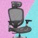 Staples Dexley Ergonomic Mesh Chair Review: Best Budget Chair