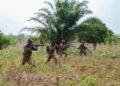 Suspected Jihadists Kill 8 Soldiers in Benin