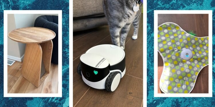 The Best Cat Toys for Your Furry Friend (2025)