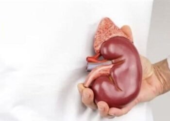 The affordable solution for kidney patients in remote areas
