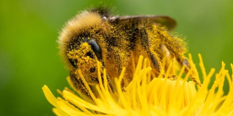 Welcome to the Worst Allergy Season Ever